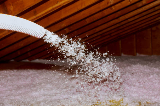 Best Insulation Contractor Near Me  in Strum, WI