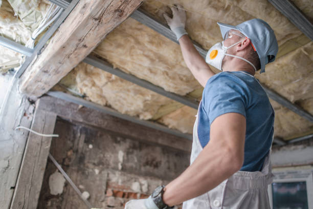 Best Insulation for New Construction  in Strum, WI